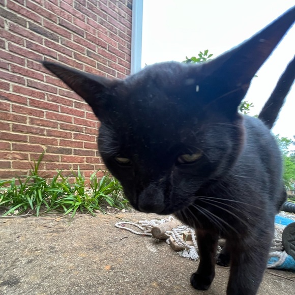 Meet your Posher, Ben - Picture 1 of 1